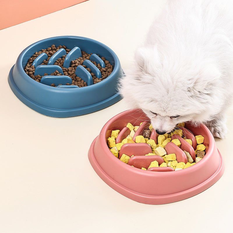 Gamelle Anti-Glouton pour Chiens & Chats (Réduit l’Anxiété & Protège la Digestion