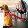 Ceinture de Sécurité Réglable pour Chien & Chat (Anti-Choc & Anti-Fugue en Voiture)