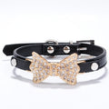 Collier Chic pour Chien et Chat avec Nœud Brillant – Le Look Parfait pour Votre Compagnon 🐶✨