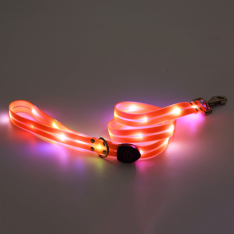 Collier LED Rechargeable pour Chien avec Laisse en Nylon – Sécurité Nocturne