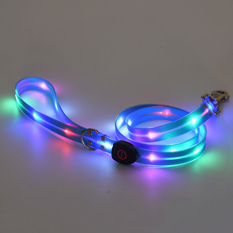 Collier LED Rechargeable pour Chien avec Laisse en Nylon – Sécurité Nocturne