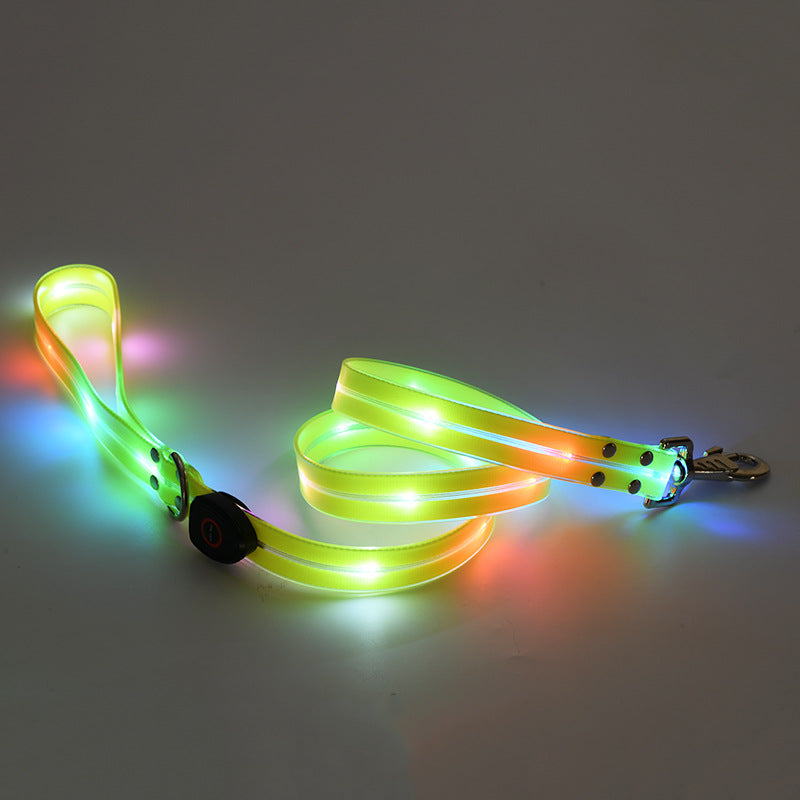 Collier LED Rechargeable pour Chien avec Laisse en Nylon – Sécurité Nocturne
