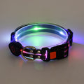 Collier LED Rechargeable pour Chien avec Laisse en Nylon – Sécurité Nocturne