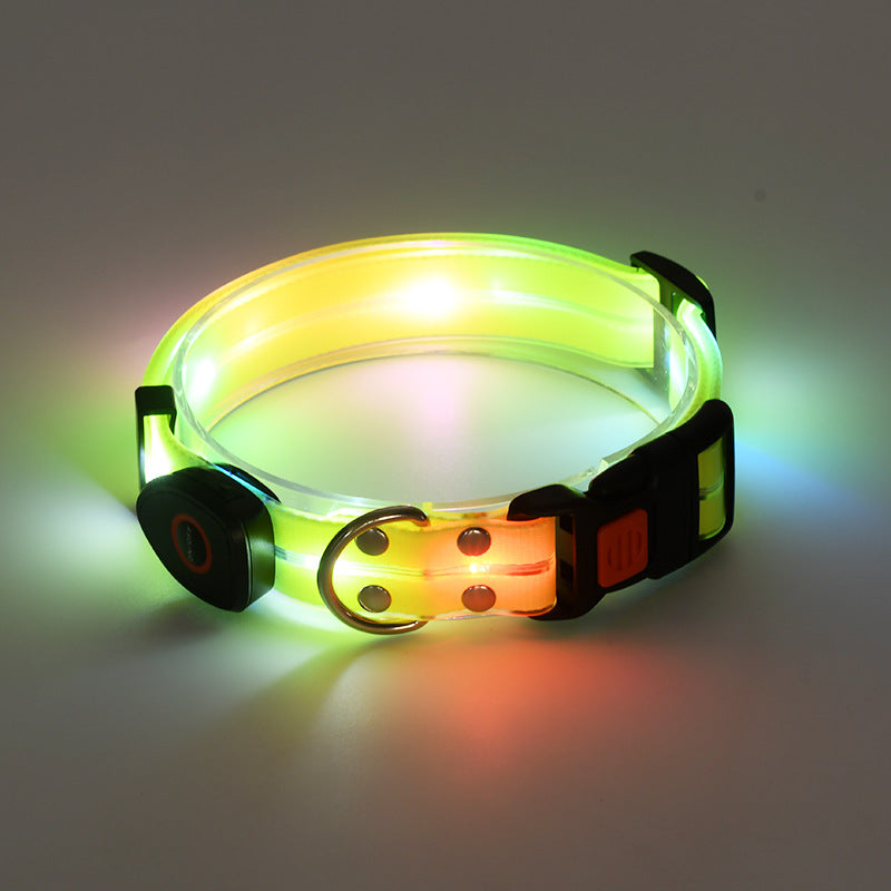 Collier LED Rechargeable pour Chien avec Laisse en Nylon – Sécurité Nocturne