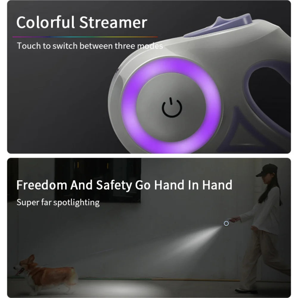 Laisse rétractable LED pour chiens & chats 🐶🐱 – Promenade sûre et pratique