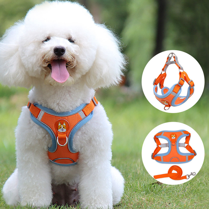 Harnais Réfléchissant pour Chiens et Chats – Confort Doux et Laisse Incluse