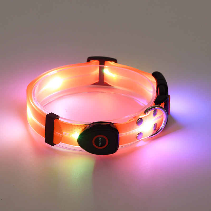 Collier LED Rechargeable pour Chien avec Laisse en Nylon – Sécurité Nocturne