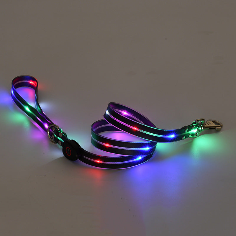 Collier LED Rechargeable pour Chien avec Laisse en Nylon – Sécurité Nocturne
