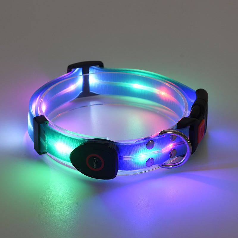 Collier LED Rechargeable pour Chien avec Laisse en Nylon – Sécurité Nocturne