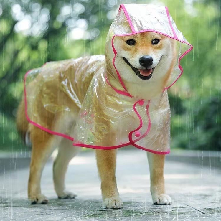 Imperméable Transparent pour Chien – Protection Totale & Look Irrésistible 🌧️🐶