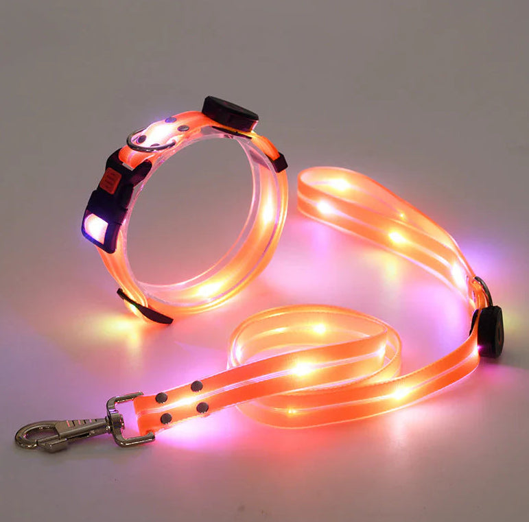 Collier LED Rechargeable pour Chien avec Laisse en Nylon – Sécurité Nocturne
