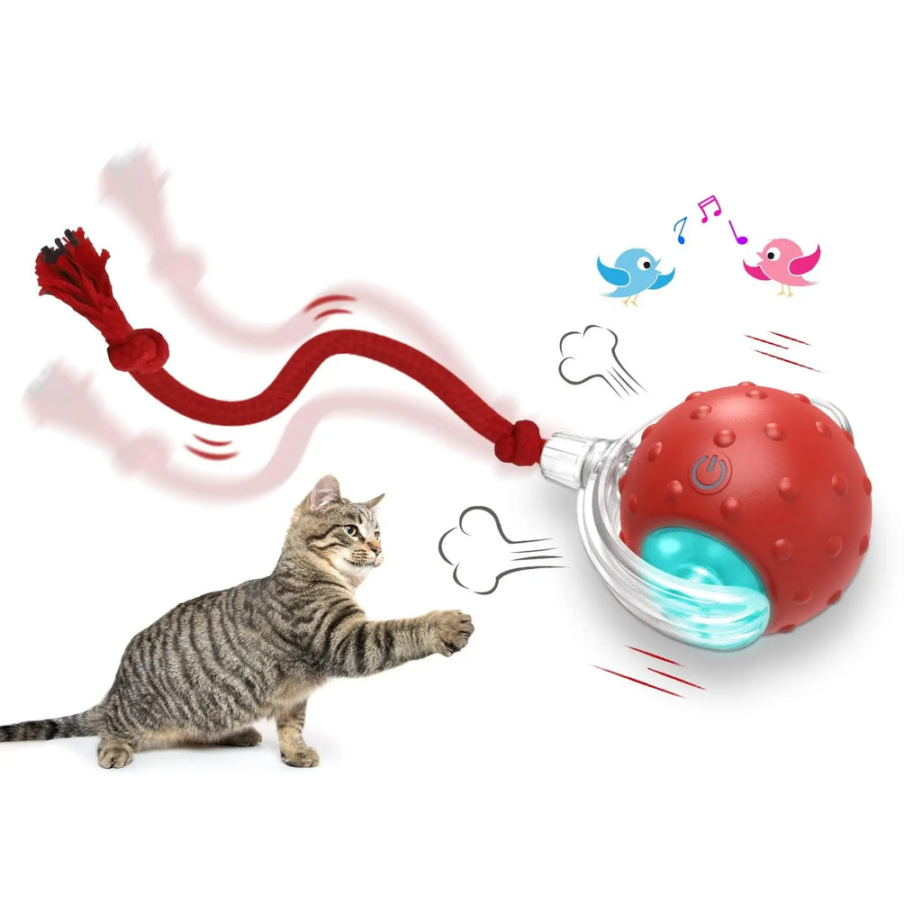 Balle Intelligente Interactive pour Chat – Jouet Automatique qui Bouge et Stimule l’Instinct de Chasse